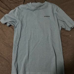 Patagonia Tshirt